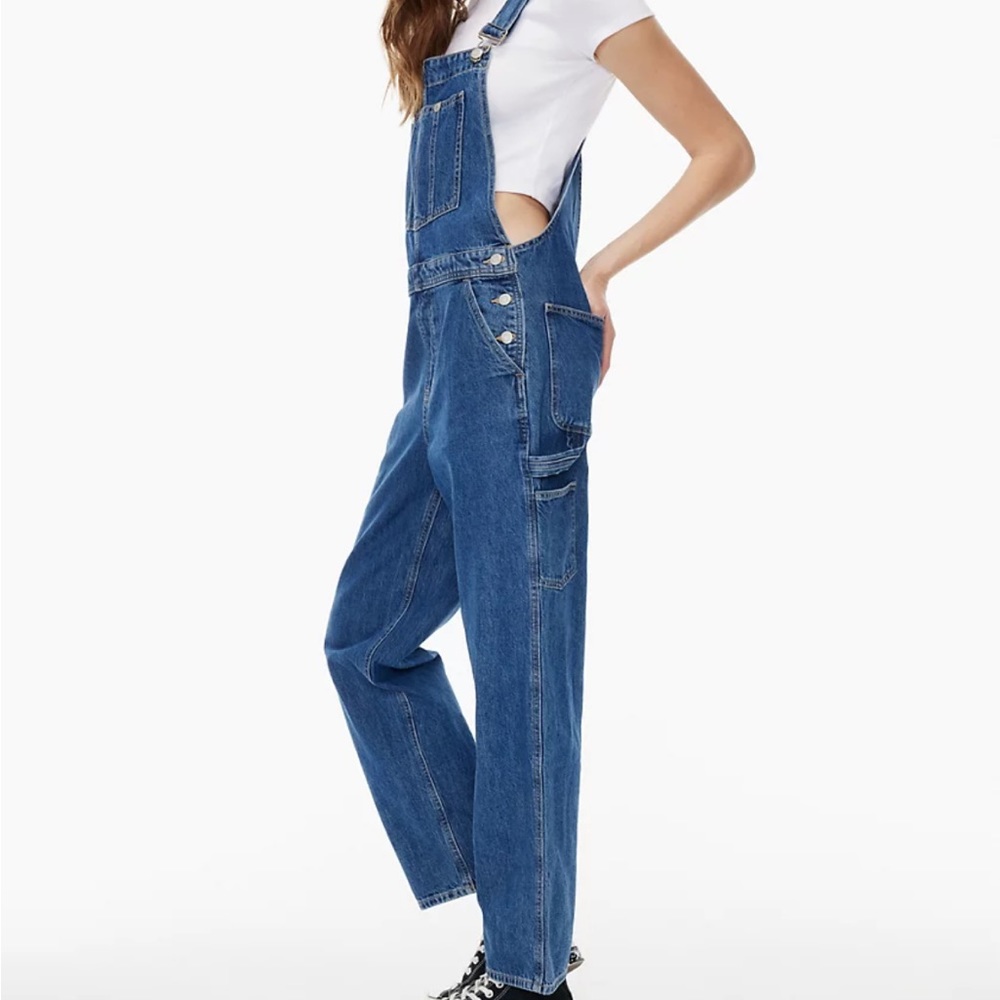 Aritzia Sunday Best Cargo Overalls